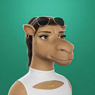 camel img