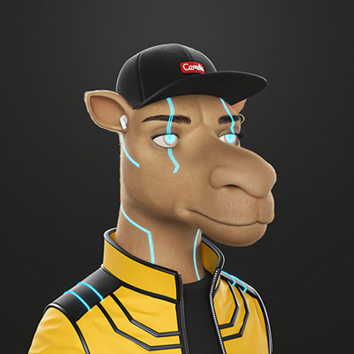 camel img