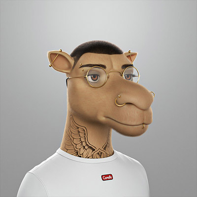 camel img