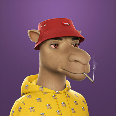camel img