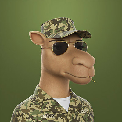 camel img